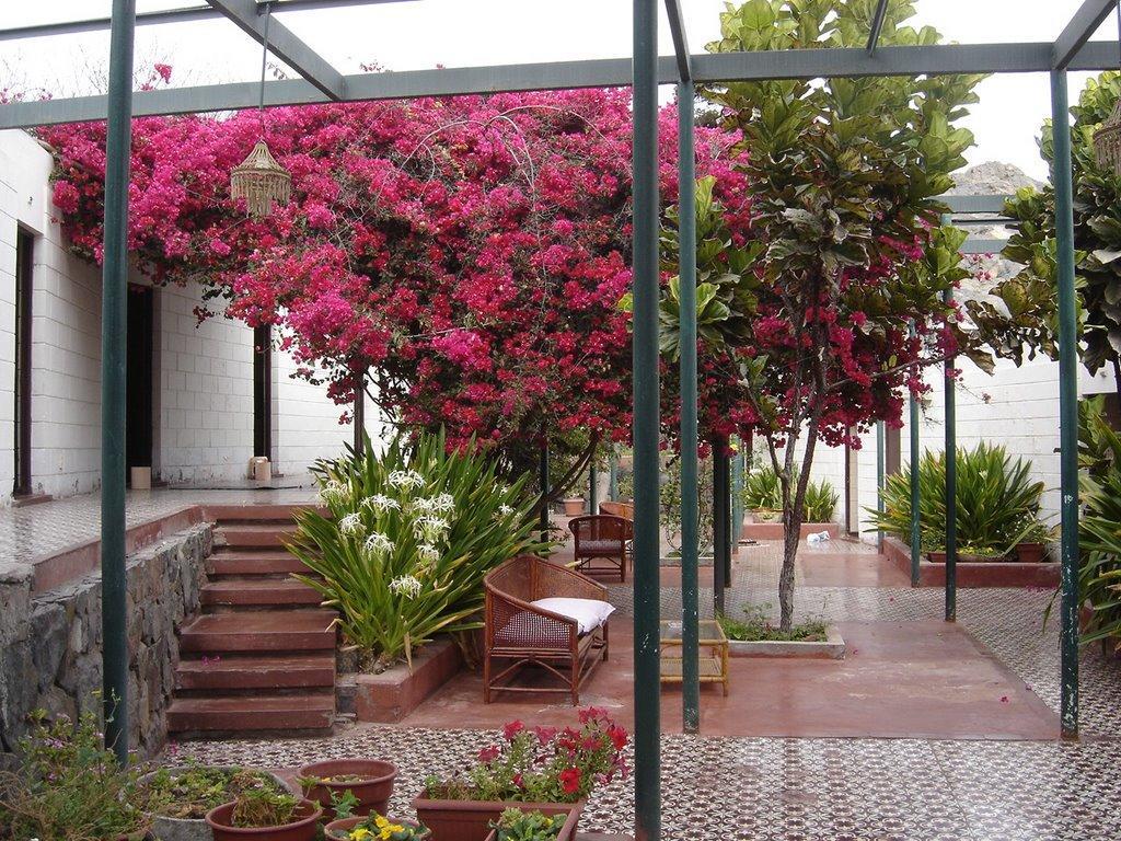 Hosteria Chanaral Kültér fotó